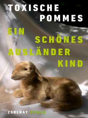 cover image of Ein schönes Ausländerkind